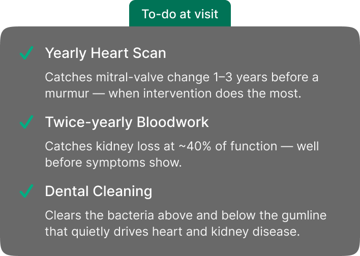 Example to-do list for the next visit: yearly heart scan, twice-yearly bloodwork, dental cleaning